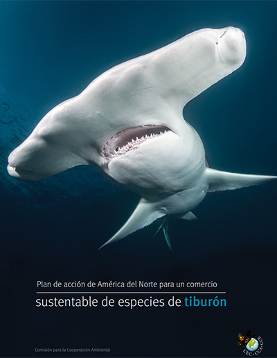 Portada del plan de acción para el comercio sustentable de tiburones