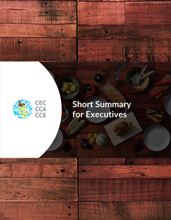 Cover for: Short Summary for Executives  (2-page version)