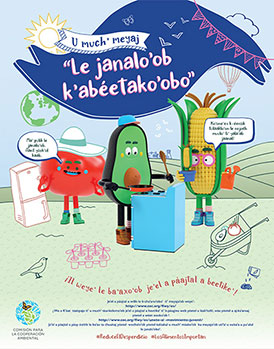 Cover of the booklet in Spanish