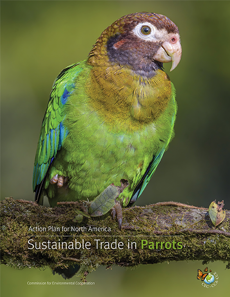 Parrots Publication Cover