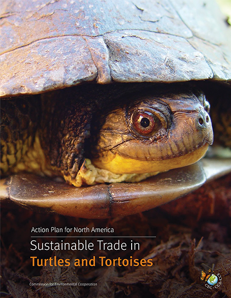 Tortoises Publication Cover