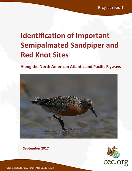 Sandpiper Publication Cover