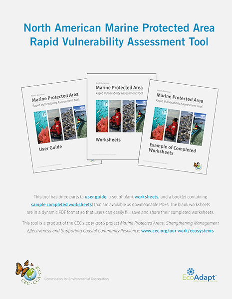 Rapid Vulnerability Publication Cover
