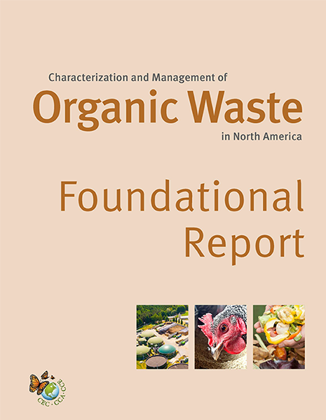Foundational Report Publication Cover