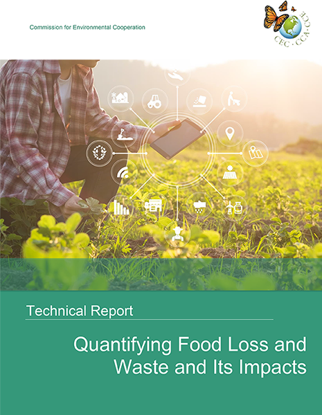 Quantifying Food Loss Publication Cover
