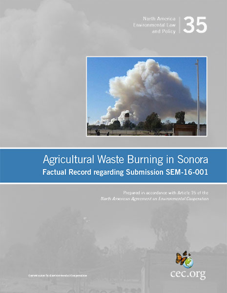 Waste Burning Publication Cover