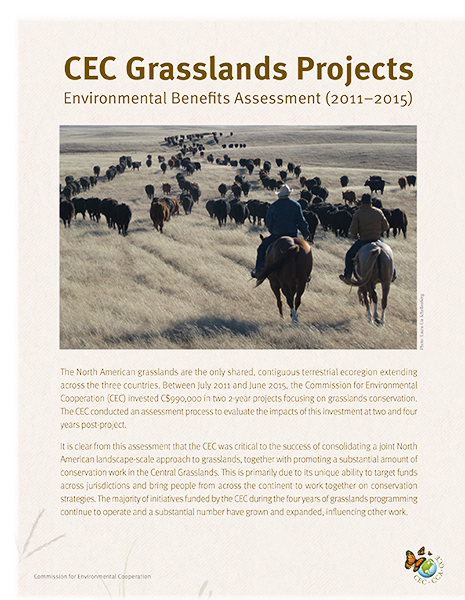 Grasslands Projects Publication Cover
