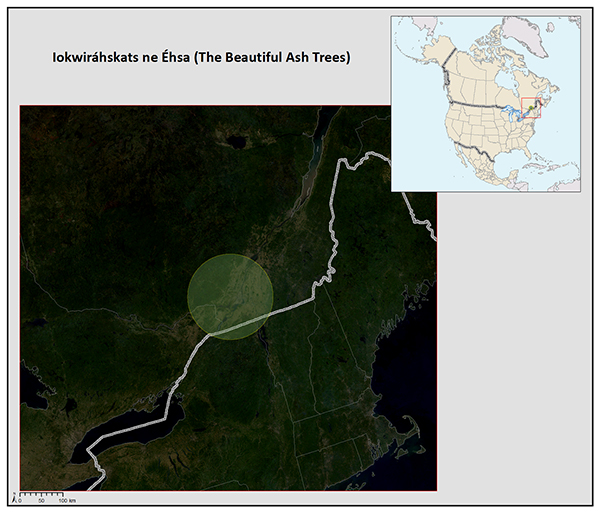 Satellite map for Emerald Ash Borer - NAPECA