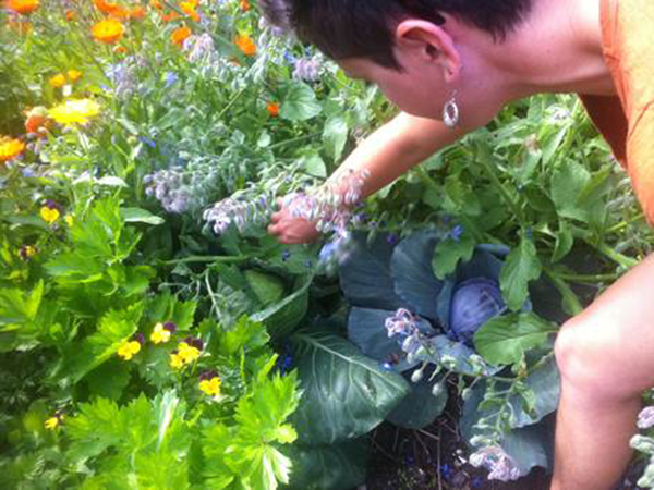 Woman growing vegetables - NAPECA project