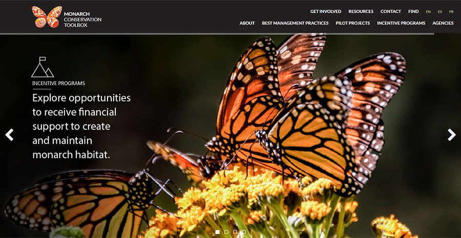 Monarch  Butterfly Conservation