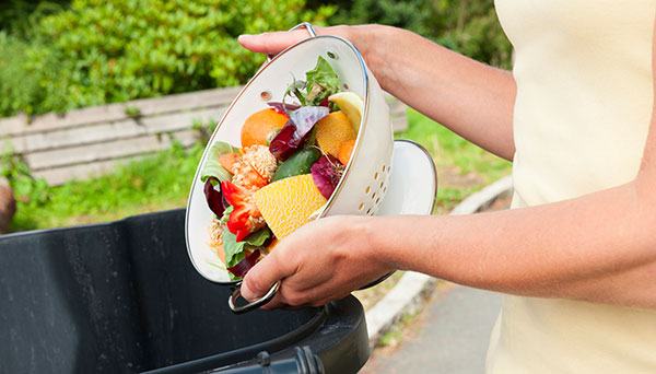 CEC Projects - Food Waste Reduction and Recovery