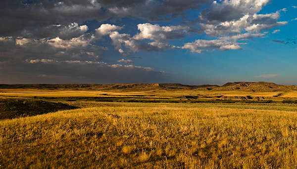 utilisation durable des prairies