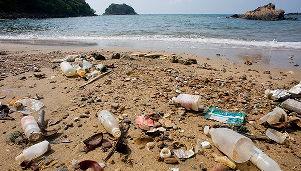 Solutions to Marine Litter