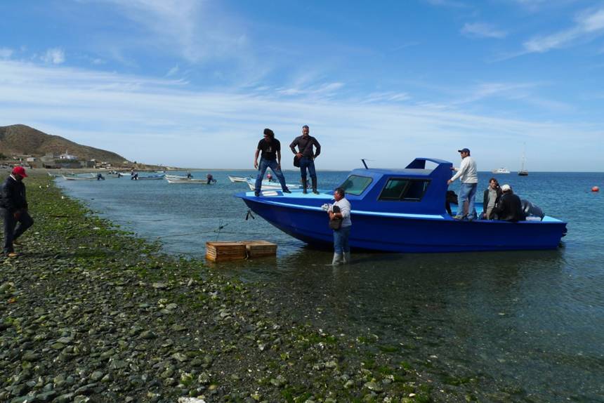 Magdalena Island