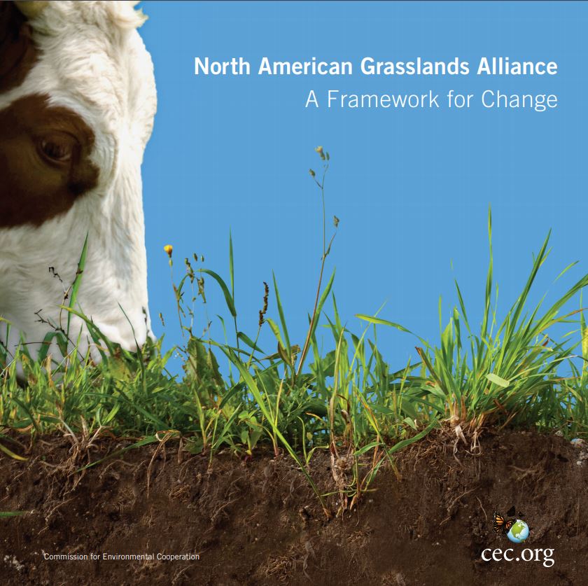 Cover or the publication: Uploaded ToNorth American Grasslands Alliance: A Framework for Change