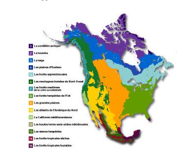 North American Map