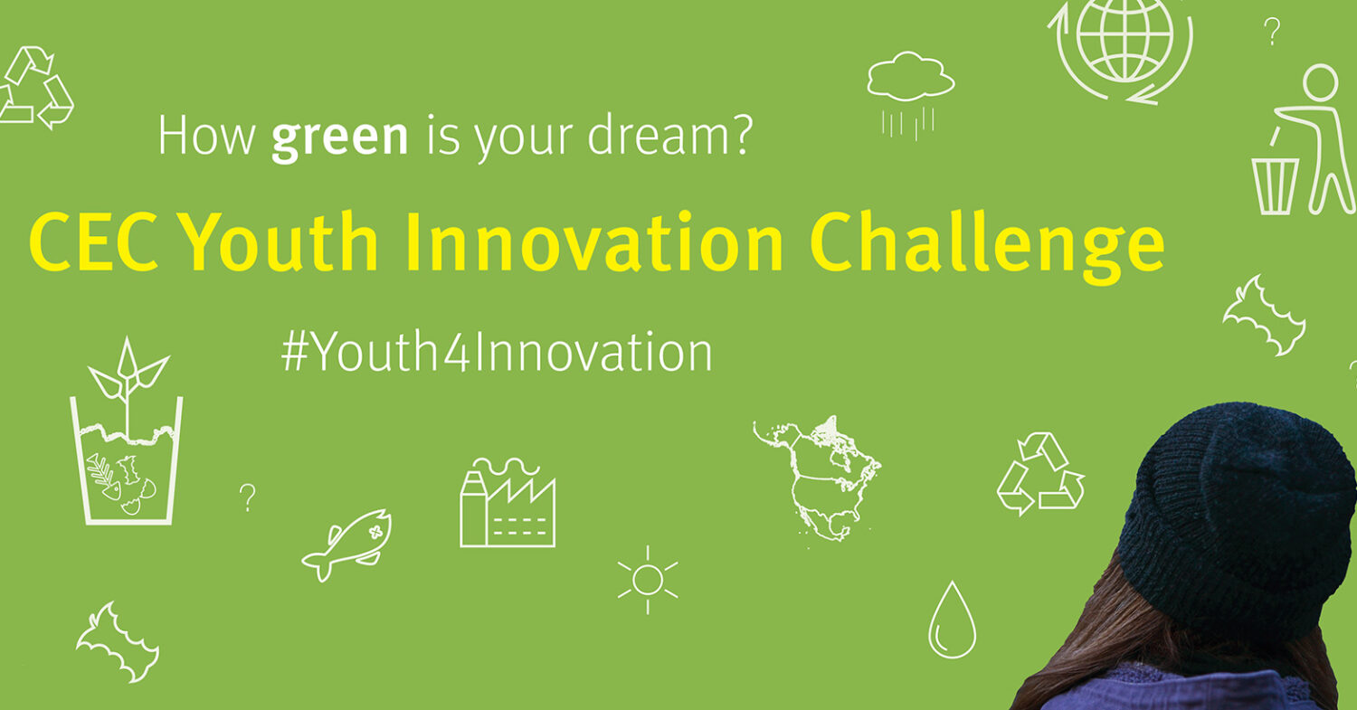 How green is your dream? Poster for the 2017 Youth Innovation Challenge - How green is your dream?