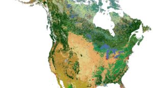 North American Land Cover Monitoring System