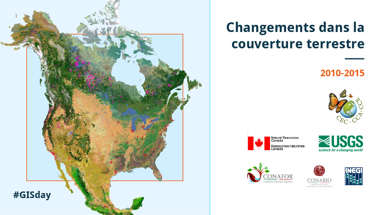 Land Cover Change