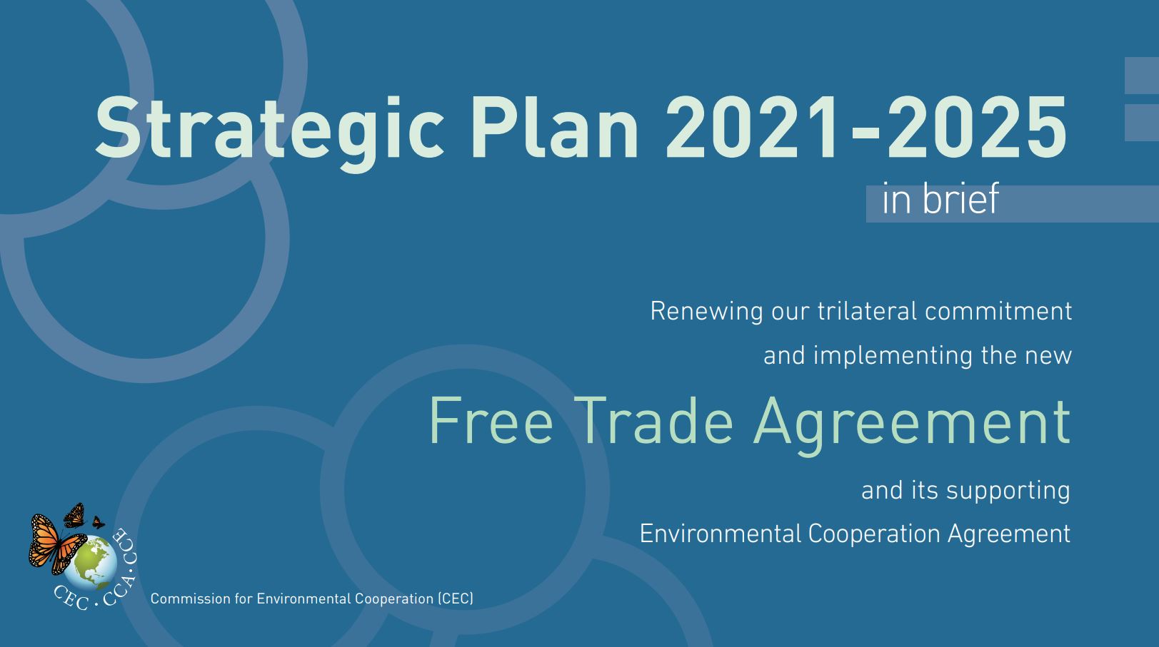 Banner for the CEC's Strategic Plan for 2021-2025