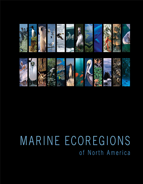 CEC Publication cover