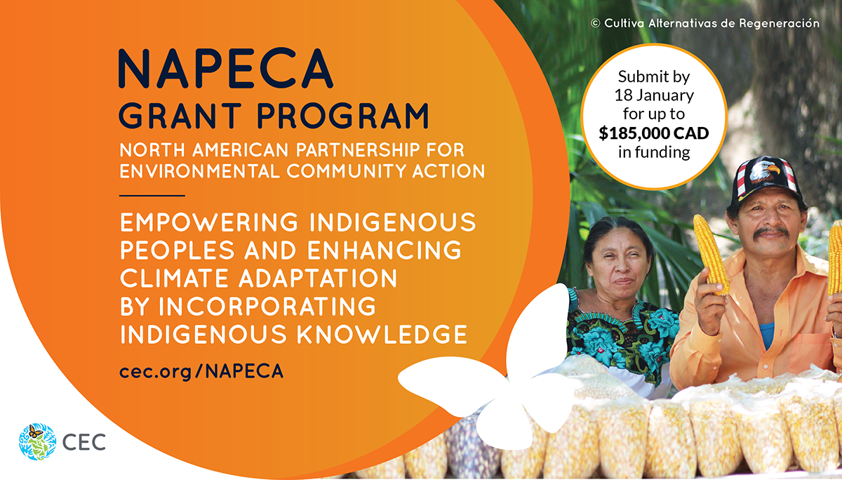 NAPECA is a community grant program that engages with local and indigenous communities