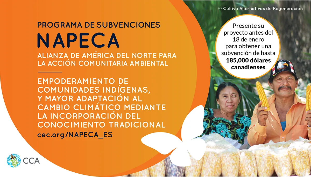 NAPECA is a community grant program that engages with local and indigenous communities