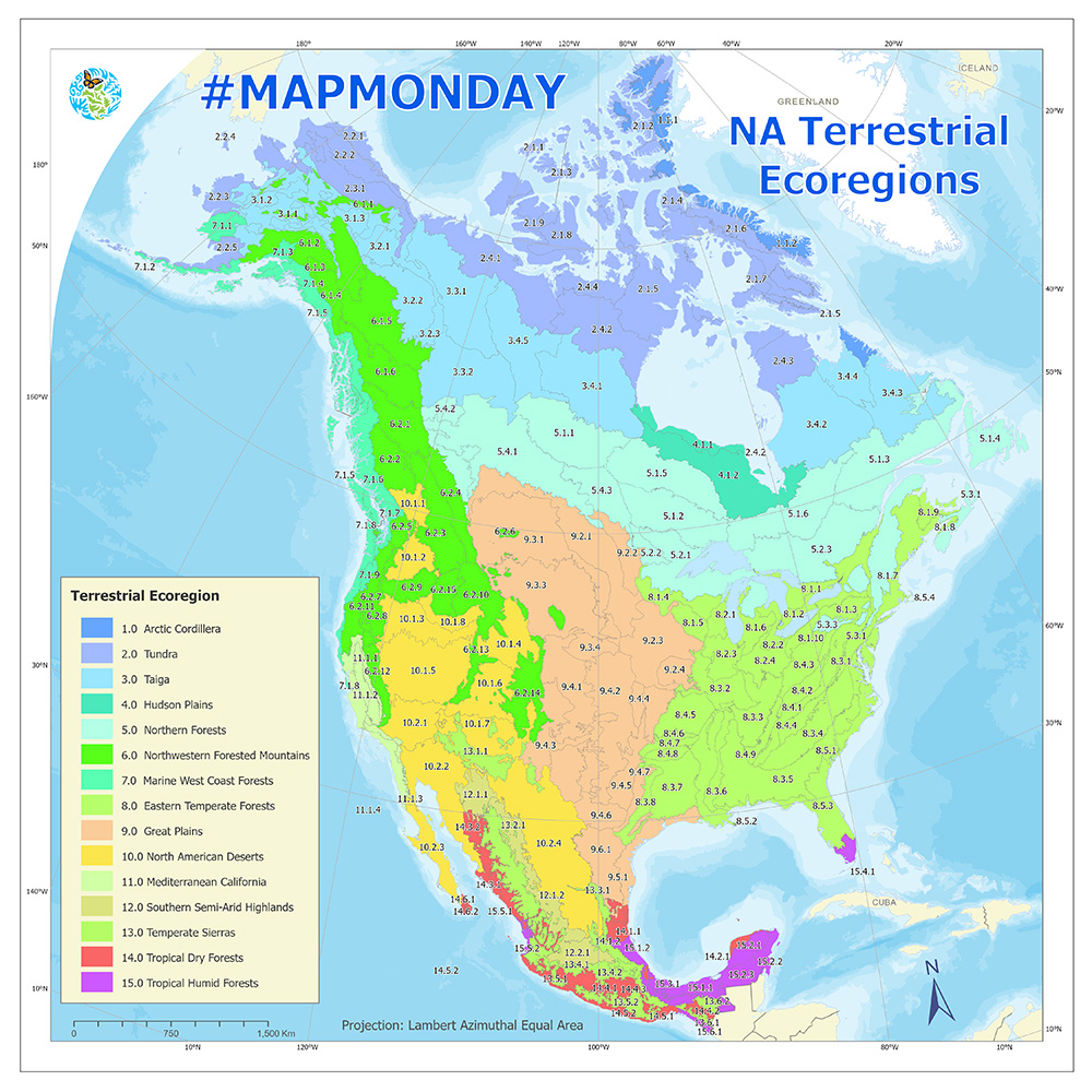 MapMonday Atlas map