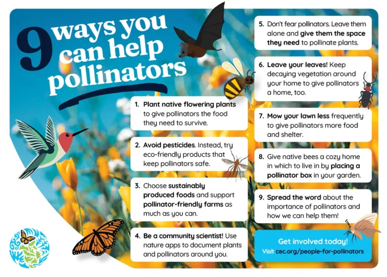 9 ways to help pollinators