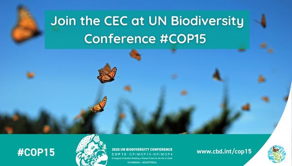 Banner for cop15 - Biodiversity Conference