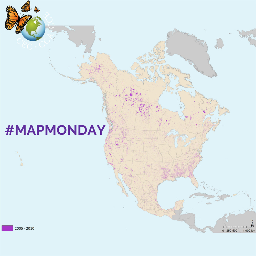 MapMonday