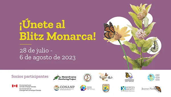 Cover for the 2023 International Monarch Monitoring Blitz