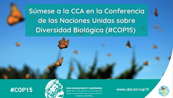 Banner for cop15