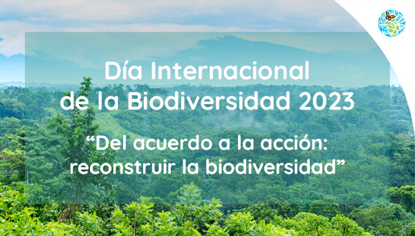 Cover for Biodiversity Newsletter