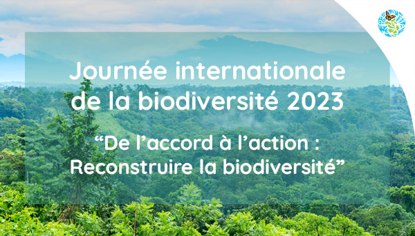 Cover for Biodiversity Newsletter
