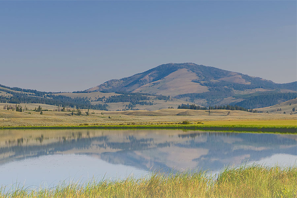North American Land Change Monitoring System