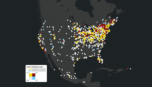 Un mapa de “Blitz Monarca” que muestra la concentración de participación y observaciones durante el Monarch Blitz 2021.