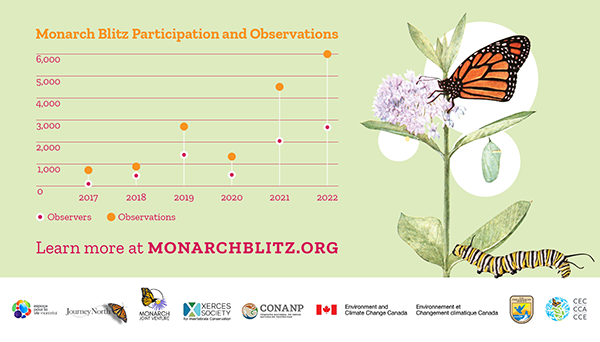 A graph showing the participation and observation data of the Monarch Blitz between 2017 and 2022.