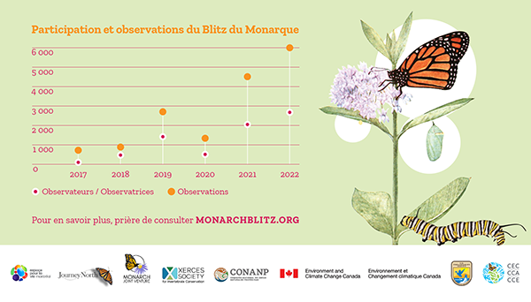Un graphique montrant les données de participation et d'observation du blitz du monarque entre 2017 et 2022.