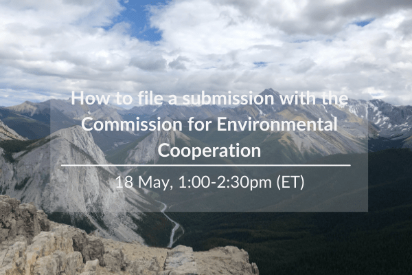 How to file a submission with the CEC