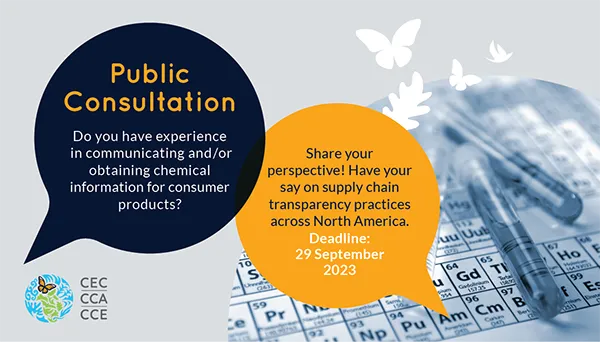 Public Consultation