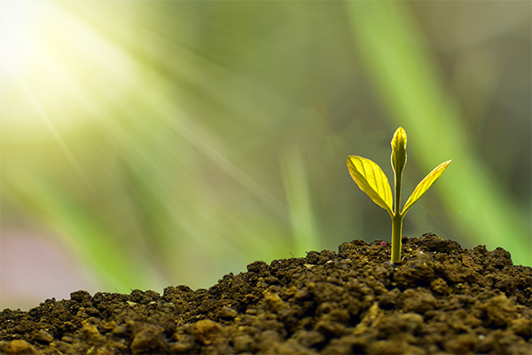 Green Growth Green Economy Thumbnail