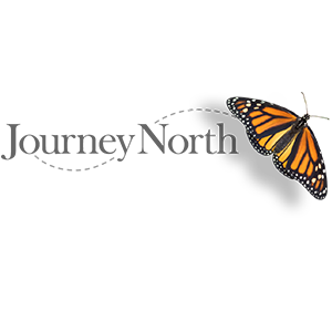 Logo - Journey North
