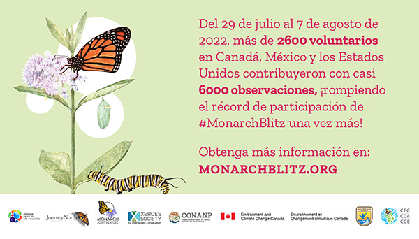 Invitation to participate in the Monarch Blitz 2022