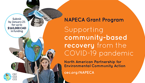 NAPECA Grants program