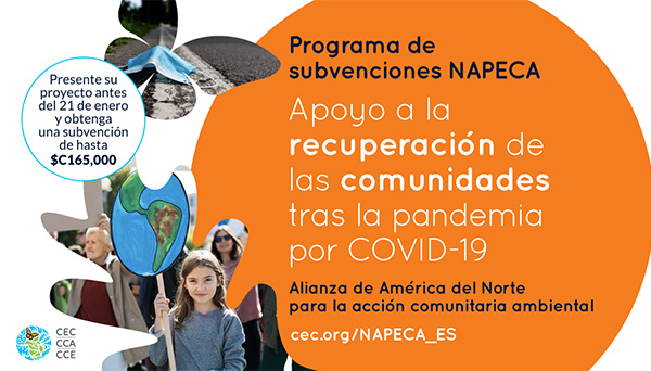 NAPECA Grants program