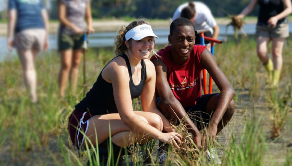 NAPECA is a community grant program that engages with local and indigenous communities