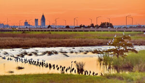 Flooding in Coastal Cities