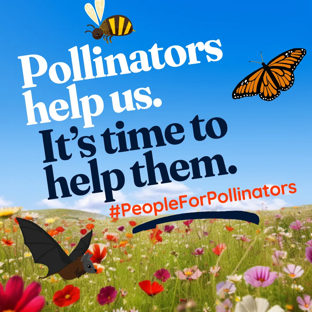 People for Pollinators