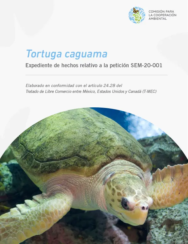 Tortuga caguama - Portada de la publicación